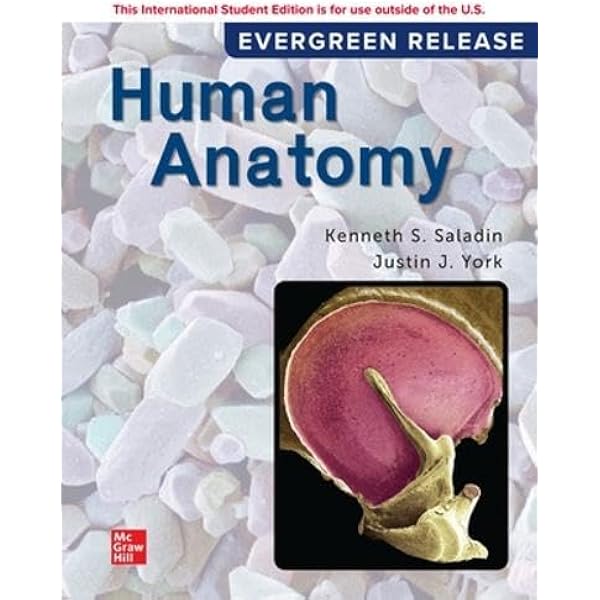 Loose Leaf for Saladin Human Anatomy: 2024 Release: 9781265389161