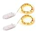 Litake Waterproof Battery String Lights Silver Wire Fairy Indoor LED String Light for Decorative Christmas Holiday Wedding Parties(6.5ft-20LEDs-Warm White-CR2032 Battery Box)-2 Packs