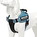 Chai's Choice Dog Harness Vest X Large (Teal Blue) | Comfortable & Lightweight Soft Padded Vest for Service Dogs | No-Choke & Easy Control Pet Oxford | 3M Reflective Patches for Dog Visibility