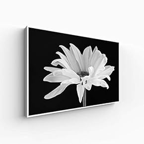 Canvas Wall Art for Living Room, Bedroom Monochrome Plants Framed Canvas Prints for Home Decoration Ready to Hang - 16x24 inches