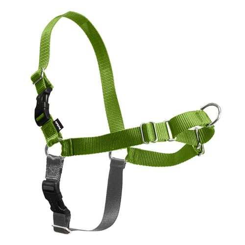 PetSafe Easy Walk dog harness.