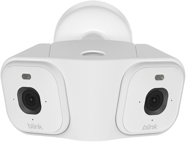Blink Arc (neueste Generation) | mit Panorama-Ansicht [Funktion erfordert Plus-Abonnement], 180° Abdeckung, steckerfertiges Dual-Kamerasystem für Mini 2K+, einzelne Stromquelle | 2 Kameras – Weiß
