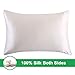 OOSILK 100% Mulberry Silk Pillowcase for Hair Standard/Queen Size 20