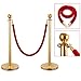 JAXPETY Round Top Polished Brass Stanchion Posts Queue Barrier, Pack of 4 Posts with Red Velvet Ropes,GOLD