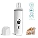 B. Oatmeal Dog Shampoo & Conditioner 100% Natural –for Dogs and Cats –Made With Organic Oatmeal & Aloe Helps to Relieve Itchy Dry Sensitive Irritated Skin– by Healthy Clean Pet
