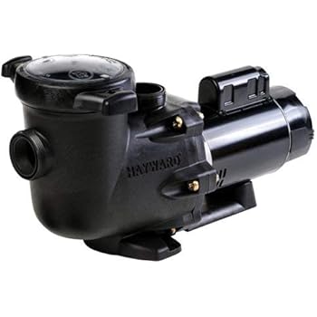Amazon.com: Hayward SP3215X202 2 HP Pool Pump, Dual-Speed