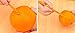 GOLF Citrus Peeler in Bright Orange Color - Replaces Tupperware Peeler (2 pcs (Bright Orange))