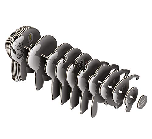 4 Brainstorm+Toys+D5008+EUGY+Craft