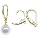 Leaver Back Earring Findings, OnFine2016 50pcs Gold-plated Brass Leverback Plain with Open Loop