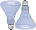 GE FBA 11684 Reveal 65-watt 445-Lumen BR30 Flood Light Bulb, 2-Pack, 2 Count (Pack of 1)