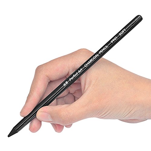Artist Woodless Charcoal Pencils Professional Manga Non-wood Sketch Drawing Pencil Kit Charcoal Sticks Art Pencil Set Sketching Shading Pencils Black/Graphite for Beginners, Artists, Set of 10, Soft