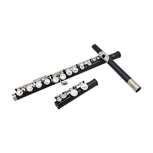 Anmas Home 16 Key Closed Hole C Flute With Case,Cleaning Rod,Cloth,Joint Grease and Screw Driver (Black)