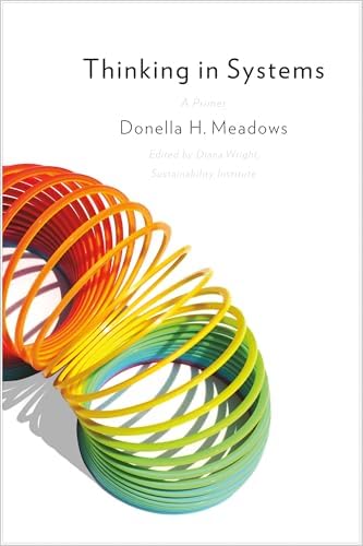 Sensemaking in Organizations (Foundations for Organizational