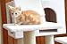 Armarkat Cat Tree Model B7701, Ivory, 36