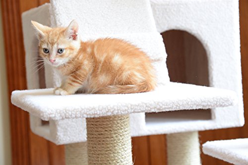 Armarkat Cat Tree Model B7701, Ivory