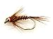 Flies Direct BH Pheasant Tail Assortment 1 Dozen Trout Fishing Flies, Gold