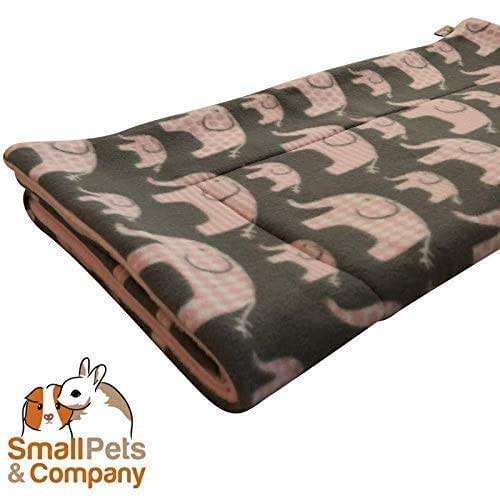 Cali Cavy Collective: a blog about all things guinea pig ...