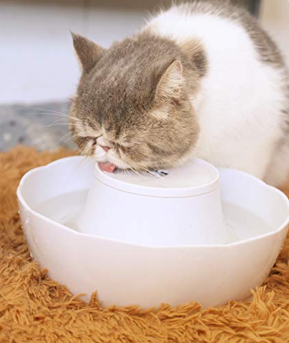image for iYoY Pet Fountain Cat Water Fountain, 2.3L Cat Water Dispenser Quiet C