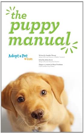 small dog ramps for couch