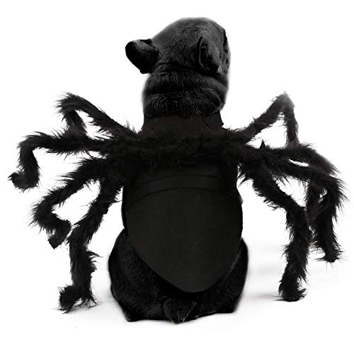 RYPET Dog Spider Costume Halloween Spider Costume for Small to Medium Dogs Halloween Party