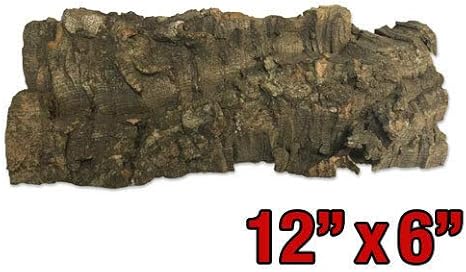 Amazon Co Jp 発芽seeds バージンコルク樹皮 コークオーキッドマウント6 12 ホーム キッチン Amazon Co Jp 発芽seeds バージンコルク樹皮 コークオーキッドマウント6 12 ホーム キッチン