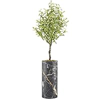 SIGNWIN Olive Tree with Black, White & Gold Granite Effect Vase Geometric Rocky Minimalism Zen Relax/Calm Multicolor Ultra for Living Room, Bedroom, Office - X-Large 5 Feet (60