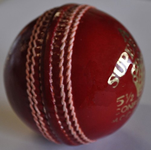 Red Leather Cricket Ball Practice