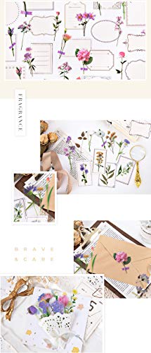 Molshine 240pcs PET Transparent Decorative Stickers -Flowers Plant Series Decals for DIY,Personalize,Bullet Diary Decoration,Laptops,Scrapbook,Luggage,Cars,Books -6 Packs of Different Styles
