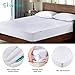 Shwite Premium Hypoallergenic Waterproof Mattress Protector Qween Size, Breathable Soft Cotton Terry Surface, Vinyl Free