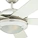 Westinghouse 7801720 Comet Indoor Ceiling Fan with Light, White