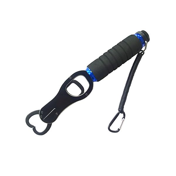 LixRix-EVA-Handle-Rustproof-Saltwater-Stainless-Steel-Fish-Fishing-Grip-Gripper-with-Scale40LB-3-Types-Available