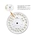 FORUP Solar Flag Pole Light 26 LED, Solar Flagpole Downlight for Most 15 to 25 Ft Flag Pole (White)