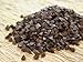 Premium Buckwheat Seed 5lbs. By Old Cobblers Farm