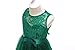Glamulice Dark Green Flower Girls Dress Prom Wedding Bridesmaid Lace Dresses Elegant Birthday Pageant Party Gown Christmas Holiday Evening Formal Princess Dance Ball Gown Photo Shoot Emerald Green 10