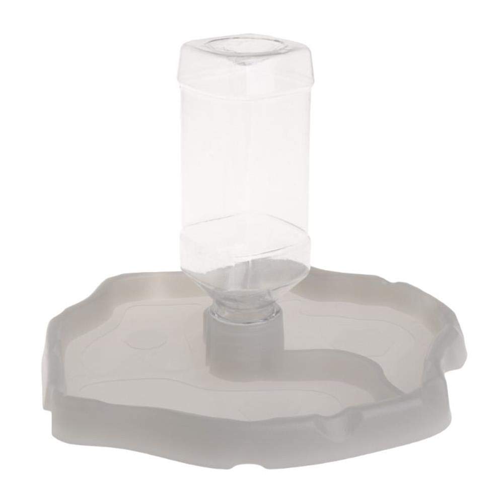 Reptile Pet Water Dish Feeder, Tortoise Lizard Food and Water Bowl 2 in 1 Automatic Feed Dispenser Drinker (White)