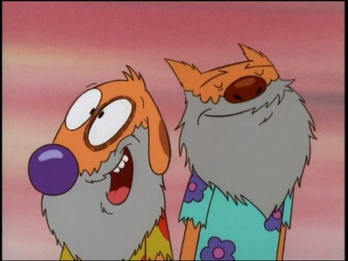 stream catdog
