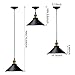 LEONLITE Industrial Hanging Pendant Light, Rustic Farmhouse Style, 10 Inch Matte Black Metal Shade, Retro Vintage Hanging Light, for Dining Room, Bars, Warehouse, E26 Base, ETL Certified
