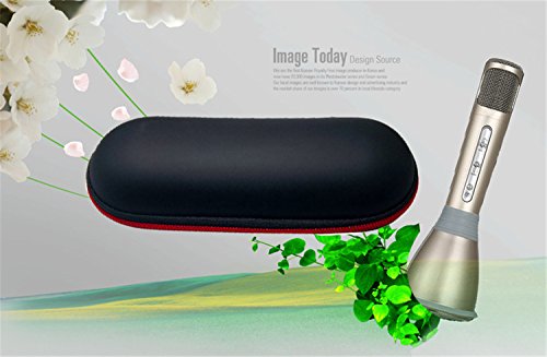 DEHEOBI Fashion Portable Home Party Music Magic Hifier Wireless Bluetooth Karaoke Microphone Professional Player Speaker Carrying Case Car Microphone Storage Box Package