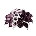Angel Isabella 10pc Set Real Touch Calla Lily-Keepsake Artificial Flower Perfect for Cut to Make Boutonniere Corsage Bouquets (Picasso Plum)