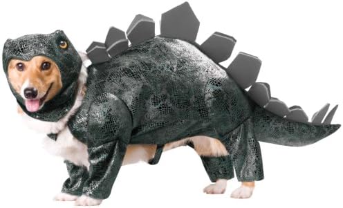 dino pet amazon