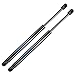 ARANA Hood Struts Rods for Acura TL 2004-2005, SG326009 Front Engine Hood Struts Shocks Lift Support Fits 2004 2005 Acura TL Base Hood, 2 Pcs