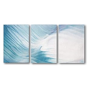3 Panel Canvas Wall Art Abstract Color Pictures Home Wall Decorations for Bedroom Living Room Paintings Canvas Prints Framed - 16"x24" x 3 Panels