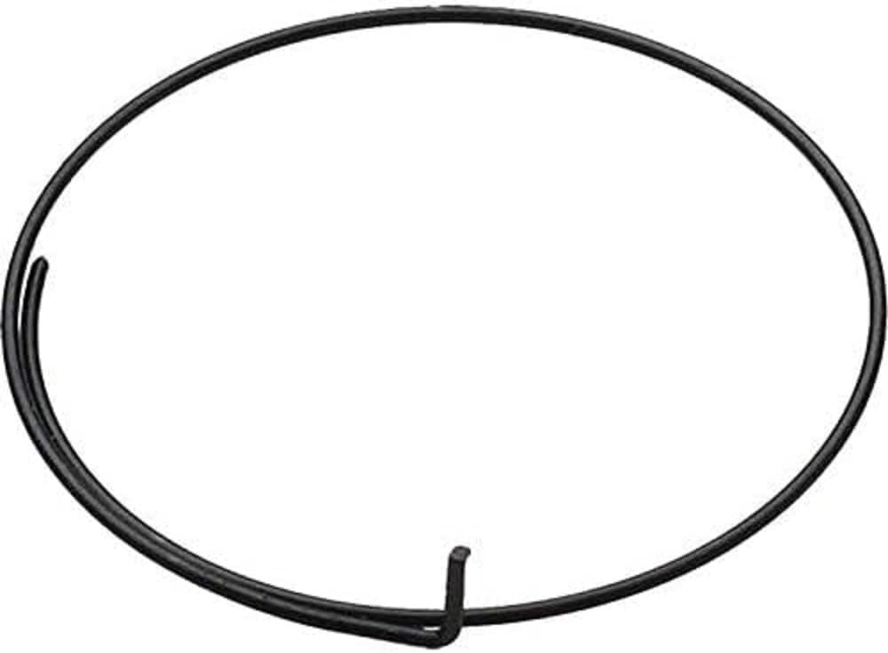 Campagnolo Unisex Wrap Around Freehub Pawl Springs, Silver, 5 Pieces UK