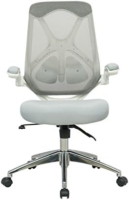 Frasch High Back Ergonomic Mesh Office Chair by Adjustable Lumbar Support, Memory Foam Molded Seat, Chrome Base and Flip-up Arms