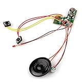 Funnytoday365 10S 10 Sec 10Secs Sound Voice Recordable Module Chip For Card With Buttons