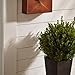 Imax Tauba Mail Box in Copper