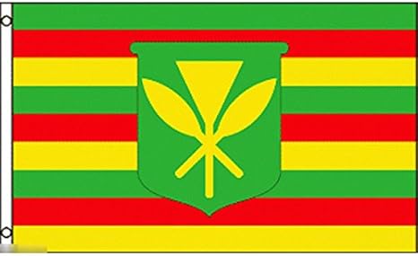 無料ダウンロード ハワイ の 国旗 1366