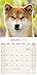 Shiba Inu Calendar - Breed Specific Shiba Inu Calendar - 2016 Wall calendars - Dog Calendars - Monthly Wall Calendar by Avonside