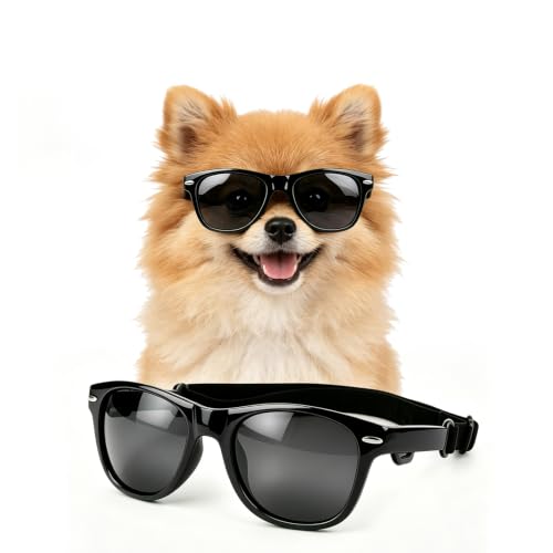 NAMSAN Small Dog Sunglasses