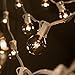 Hometown Evolution, Inc. 100 Foot White String Lights - G40 Clear Globe Bulbs (White Wire) - Outdoor Indoor String Lights for Wedding, Cafe, Bistro, Market, Bedroom and Tent Lighting